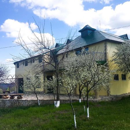 Soldanesti Fata Verde المظهر الخارجي الصورة