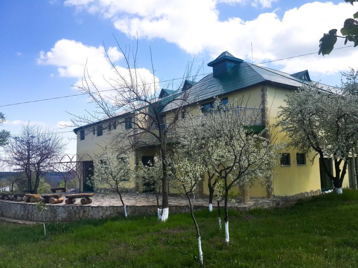 Soldanesti Fata Verde المظهر الخارجي الصورة